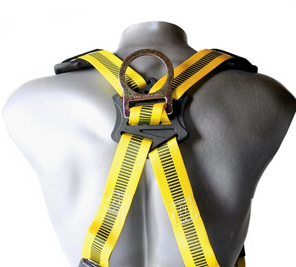 Universal Harness with Leg Tongue Buckle Straps