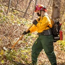 True North NFPA 1977 Womens Wildland Brush Pants