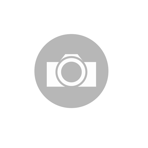 Mercedes WICK 250  - Parts